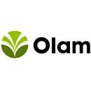 Olam